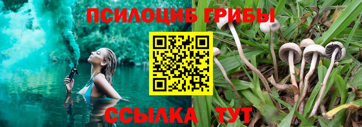 Галлюциногенные грибы ЛСД Сальск