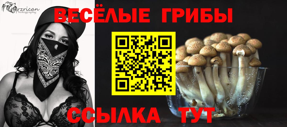 Сальск  Галлюциногенные грибы Cubensis  Вход с VPN 