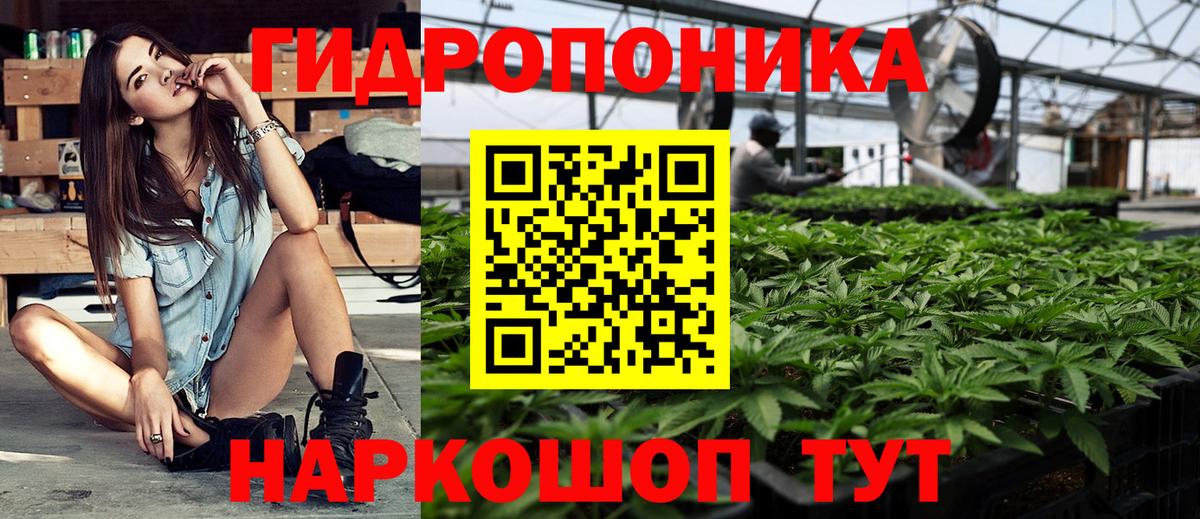 Бошки Шишки LSD WEED  Бошки Шишки тримм  Сальск  Вход с VPN 
